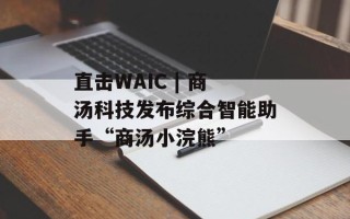 直击WAIC | 商汤科技发布综合智能助手“商汤小浣熊”