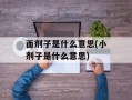 面剂子是什么意思(小剂子是什么意思)
