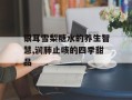 银耳雪梨糖水的养生智慧,润肺止咳的四季甜品