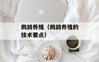 鹧鸪养殖（鹧鸪养殖的技术要点）