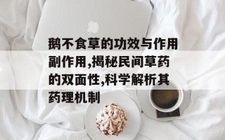 鹅不食草的功效与作用副作用,揭秘民间草药的双面性,科学解析其药理机制