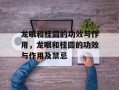 龙眼和桂圆的功效与作用，龙眼和桂圆的功效与作用及禁忌