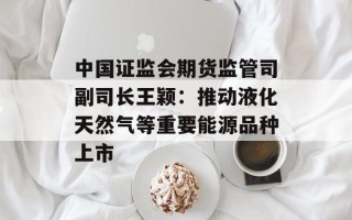 中国证监会期货监管司副司长王颖：推动液化天然气等重要能源品种上市