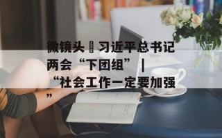 微镜头•习近平总书记两会“下团组” | “社会工作一定要加强”