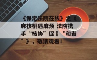 《保定法院在线》之《麻核桃遇麻烦 法院携手“核协”促​“和谐”》，敬请观看！