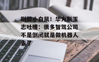 别做小白鼠！华为靳玉志吐槽：很多智驾公司不是倒闭就是做机器人去了
