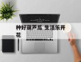种好葫芦瓜 生活乐开花