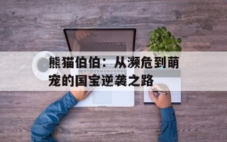 熊猫伯伯：从濒危到萌宠的国宝逆袭之路