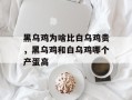 黑乌鸡为啥比白乌鸡贵，黑乌鸡和白乌鸡哪个产蛋高
