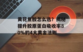 黄花鱼胶怎么选？揭秘提升胶原蛋白吸收率80%的4大黄金法则