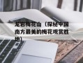 龙岩梅花山（探秘中国南方最美的梅花观赏胜地）