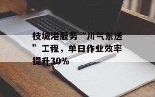 枝城港服务“川气东送”工程，单日作业效率提升30%