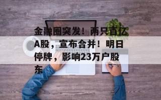 金融圈突发！两只百亿A股，宣布合并！明日停牌，影响23万户股东