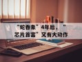 “蛇吞象”4年后，“芯片首富”又有大动作