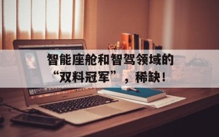 智能座舱和智驾领域的“双料冠军”，稀缺！