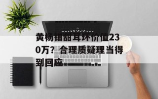 黄杨钿甜耳环价值230万？合理质疑理当得到回应