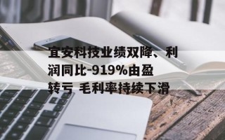 宜安科技业绩双降、利润同比-919%由盈转亏 毛利率持续下滑