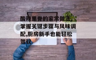 酸辣里脊的家常做法,掌握关键步骤与风味调配,厨房新手也能轻松驾驭