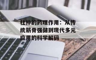 杜仲的药理作用：从传统筋骨强健到现代多元应用的科学解码