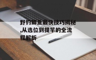 野钓鲫鱼最快技巧揭秘,从选位到提竿的全流程解析