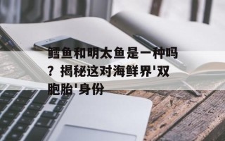 鳕鱼和明太鱼是一种吗？揭秘这对海鲜界'双胞胎'身份