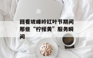 回看坡峰岭红叶节期间那些“柠檬黄”服务瞬间
