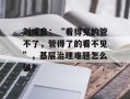 刘成良：“看得见的管不了，管得了的看不见”，基层治理难题怎么破？