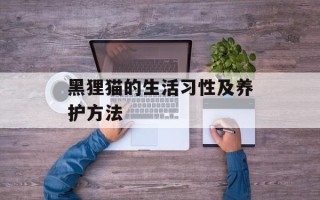 黑狸猫的生活习性及养护方法