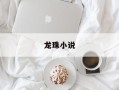 龙珠小说