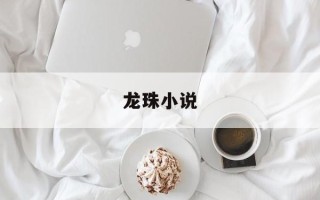 龙珠小说