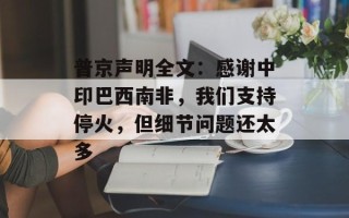 普京声明全文：感谢中印巴西南非，我们支持停火，但细节问题还太多