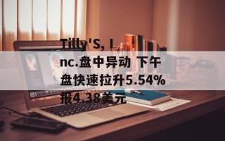 Tilly'S, Inc.盘中异动 下午盘快速拉升5.54%报4.38美元