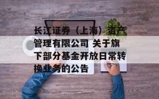长江证券（上海）资产管理有限公司 关于旗下部分基金开放日常转换业务的公告