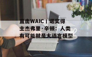 直击WAIC丨诺奖得主杰弗里·辛顿：人类有可能就是大语言模型