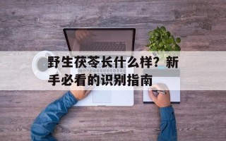 野生茯苓长什么样？新手必看的识别指南