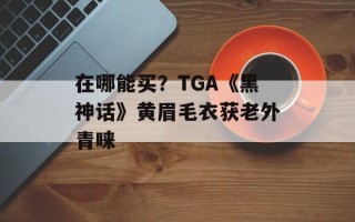 在哪能买？TGA《黑神话》黄眉毛衣获老外青睐