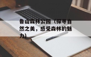 鲁山森林公园（探寻自然之美，感受森林的魅力）