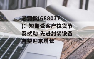 芯源微(688037)：短期受客户拉货节奏扰动 先进封装设备有望迎来增长