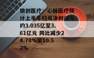 微创医疗：心脉医疗预计上半年归母净利润为约3.035亿至3.61亿元 同比减少24.78%至10.52%