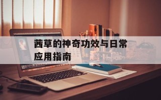 茜草的神奇功效与日常应用指南