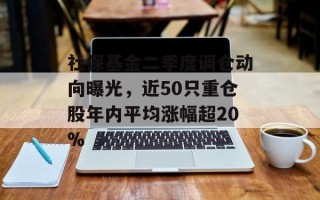 社保基金二季度调仓动向曝光，近50只重仓股年内平均涨幅超20%