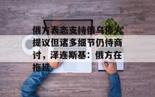 俄方表态支持俄乌停火提议但诸多细节仍待商讨，泽连斯基：俄方在拖延