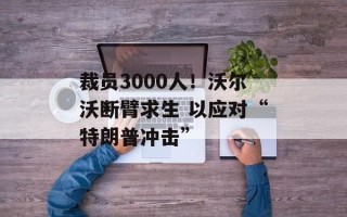 裁员3000人！沃尔沃断臂求生 以应对“特朗普冲击”