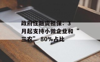 政府性融资担保：3 月起支持小微企业和“三农” 80%占比