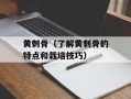黄刺骨（了解黄刺骨的特点和栽培技巧）