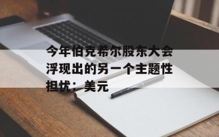 今年伯克希尔股东大会浮现出的另一个主题性担忧：美元