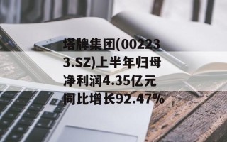 塔牌集团(002233.SZ)上半年归母净利润4.35亿元 同比增长92.47%