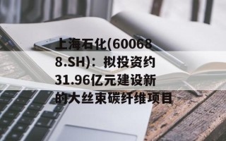 上海石化(600688.SH)：拟投资约31.96亿元建设新的大丝束碳纤维项目