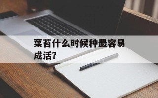 菜苔什么时候种最容易成活？