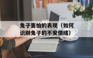 兔子害怕的表现（如何识别兔子的不安情绪）